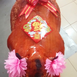 mua-heo-quay-gion-bi-ngon-heo-quay-da-gion-nguyen-con-mien-phiship