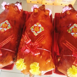 cac-li-do-lam-cho-heo-sua-quay-duoc-ua-chuong