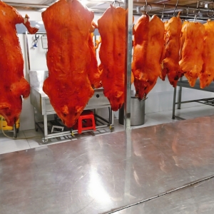 hoc-nghe-heo-quay-co-kho-khong