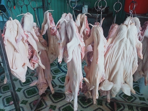 NGUYÊN LIỆU HEO SẠCH